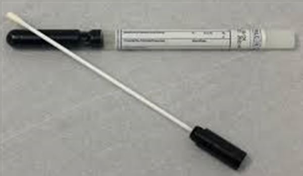 vaginal swab
